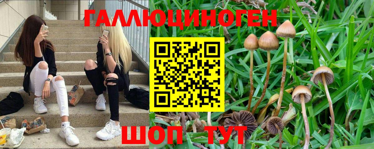 Можайск  Псилоцибиновые грибы Psilocybe  Вход с VPN 